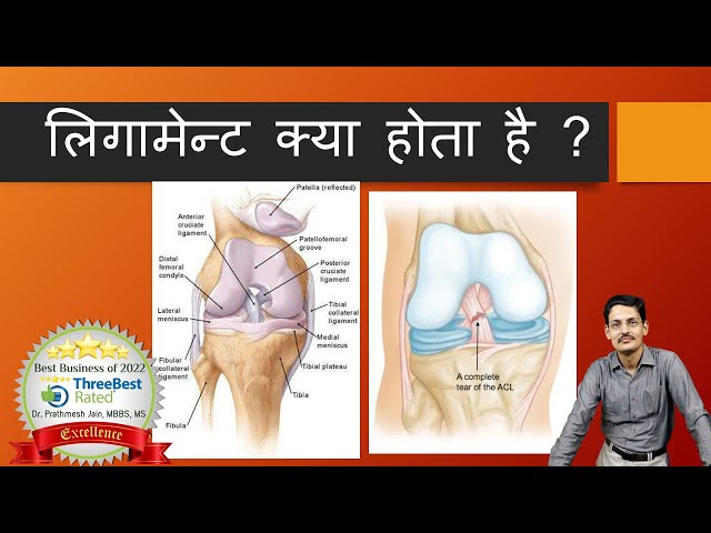 लिगामेंट का हिंदी में मतलब: पूरी जानकारी (Ligament ka Hindi mein matlab: Puri Jankari)