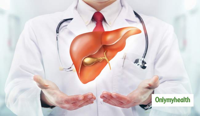 liver meaning in hindi 1