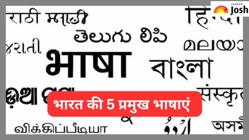 locality meaning in hindi 2