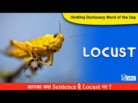 टिड्डी के विभिन्न हिंदी शब्द और समानार्थी