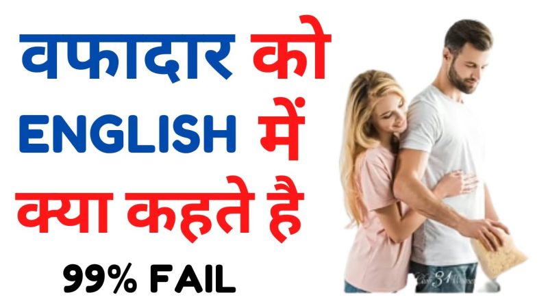 वफ़ादार का हिंदी अर्थ क्या है? (वफ़ादार शब्द का हिंदी में अर्थ समझना)