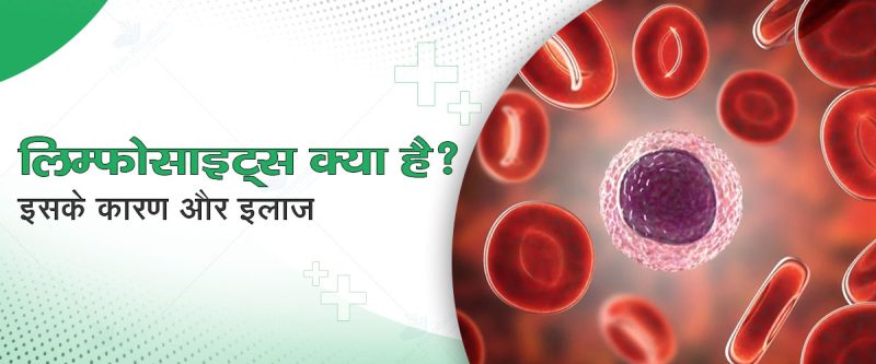 लिम्फोसाइट्स के प्रकार: टी कोशिकाएं, बी कोशिकाएं, और एनके कोशिकाएं (Lymphocytes Ke Prakar: T Koshikayen, B Koshikayen, Aur NK Koshikayen)