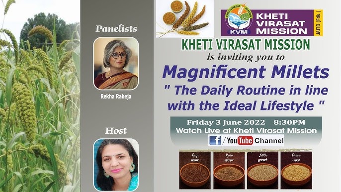 magnificent meaning in hindi 1