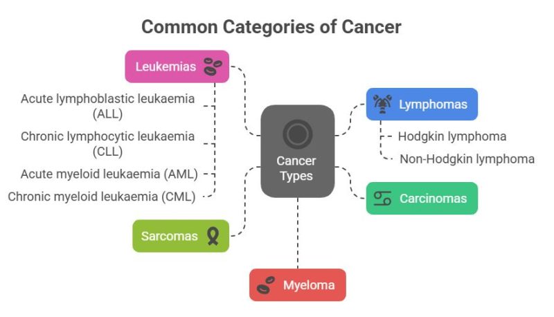 घातक ट्यूमर की प्रमुख विशेषताएं (Key Characteristics of Malignant Tumors)
