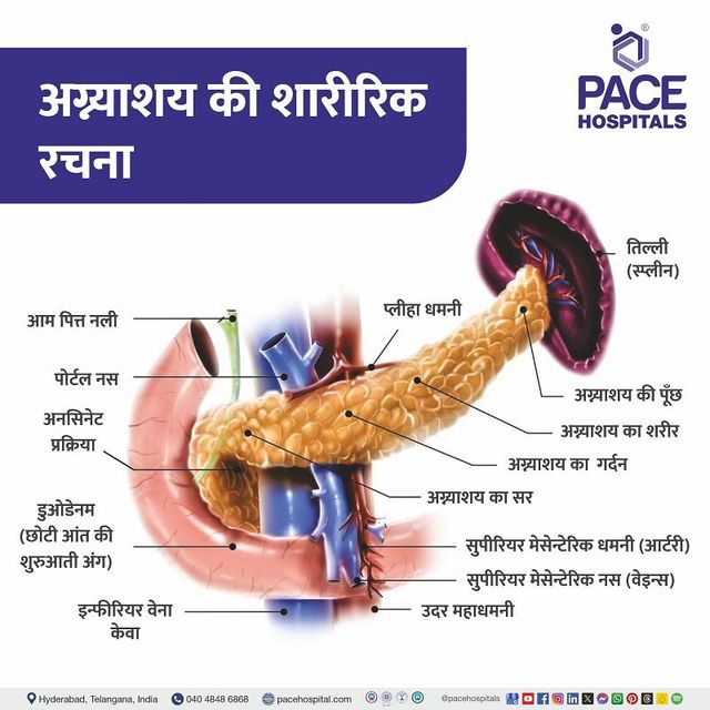 घातकता के सामान्य प्रकार और उदाहरण (Common Types and Examples of Malignancy)