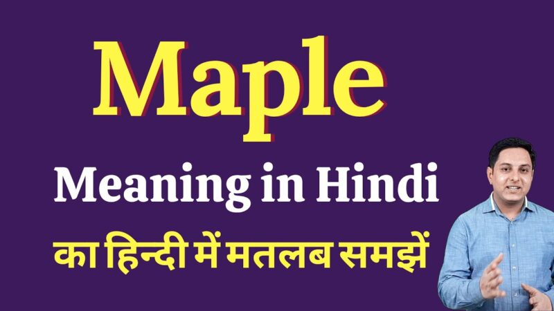 maple meaning in hindi - Hình 2