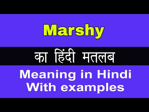 'marshy' के हिंदी वाक्यों में प्रयोग के उदाहरण