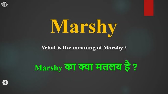 'marshy' के समानार्थी और विलोम शब्द