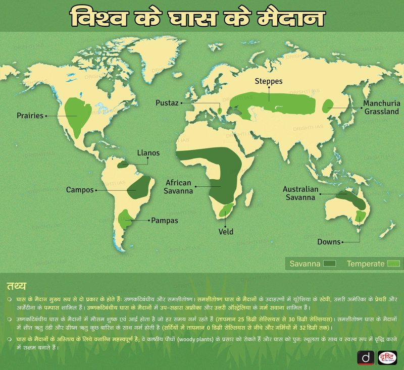 घास के मैदान के प्रकार: स्थलाकृति और पारिस्थितिकी तंत्र के आधार पर वर्गीकरण
