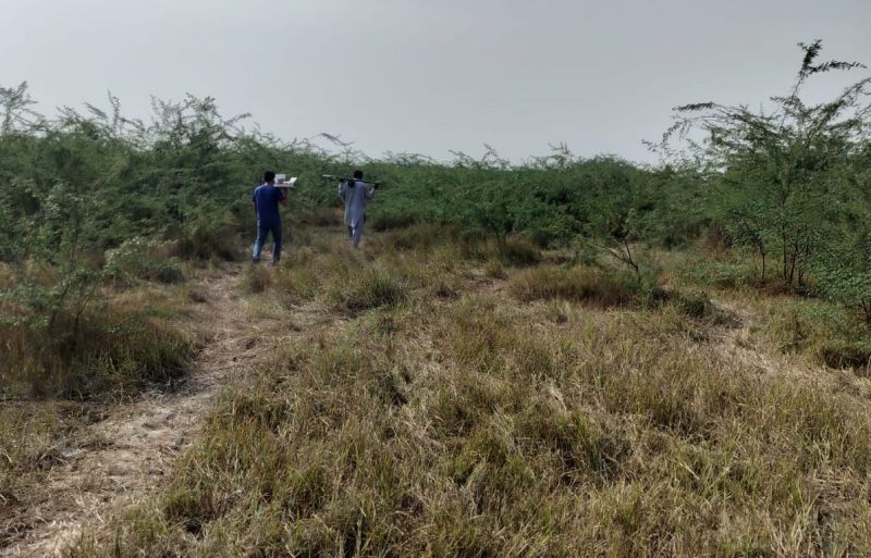 विभिन्न भारतीय भाषाओं में घास के मैदान के लिए इस्तेमाल किए जाने वाले शब्द