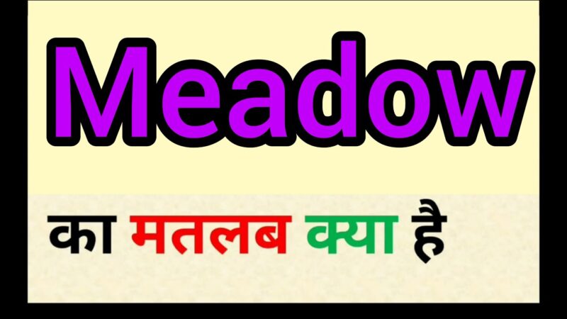 meadows meaning in hindi - Hình 2