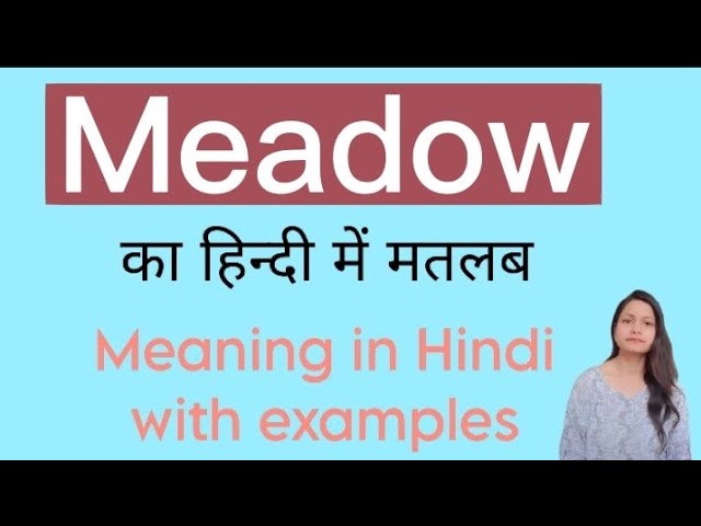 meadows meaning in hindi - Hình 4