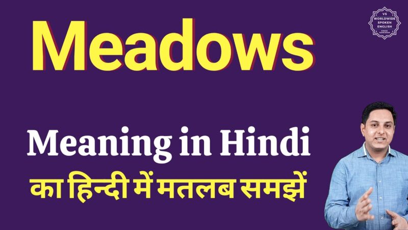 meadows meaning in hindi - Hình 1