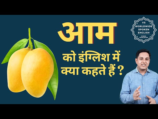 आम हिंदी शब्दों और वाक्यांशों का अंग्रेजी अनुवाद