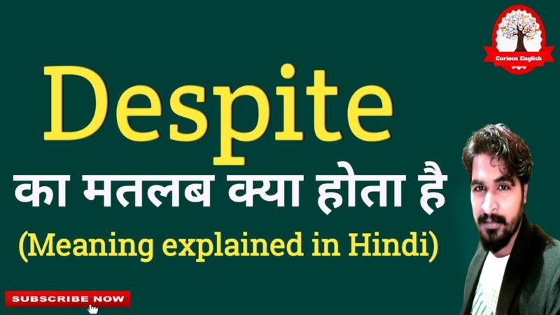 meaning of despite in hindi - Hình 3