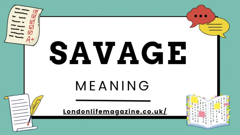 meaning of savage in hindi 3