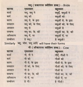 means meaning in hindi 2