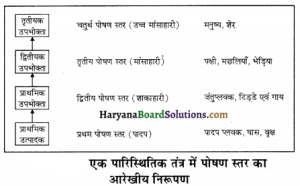 meet meaning in hindi 5