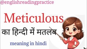 meticulous meaning in hindi 1
