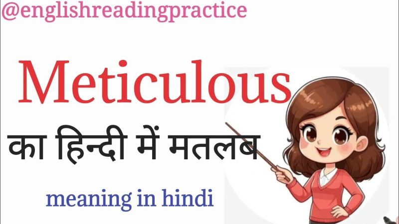 Meticulous का हिंदी अर्थ क्या है? (What is the Hindi meaning of Meticulous?)