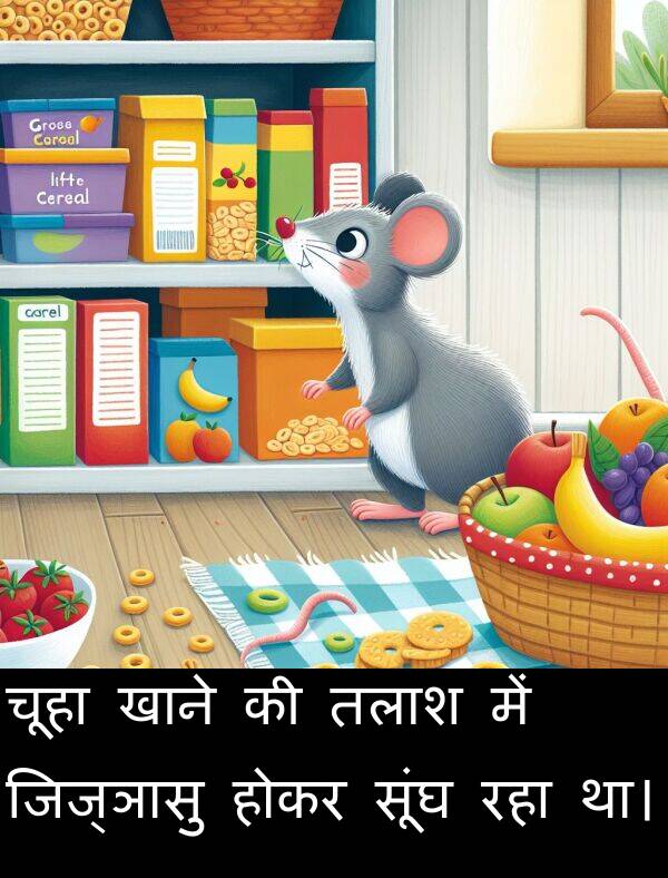 mice meaning in hindi 2