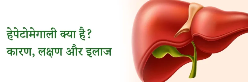 हल्के हेपेटोमेगाली का क्या अर्थ है?
