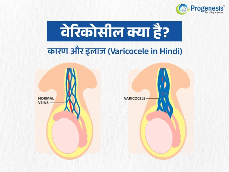 mild meaning in hindi 1