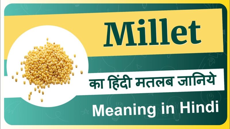 millet meaning in hindi - Hình 3