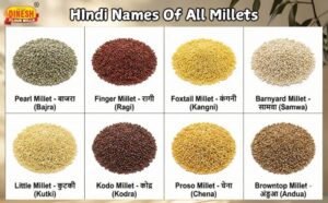 millet meaning in hindi