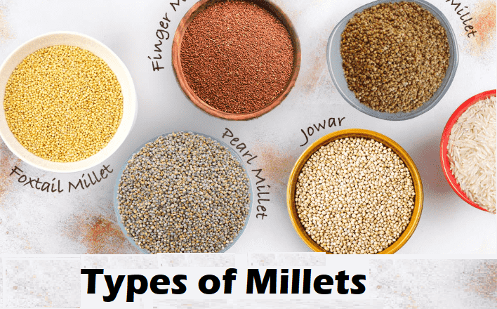 millet meaning in hindi - Hình 4