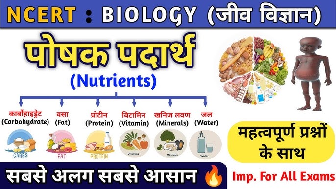 स्वास्थ्य और पोषण में खनिज: हिंदी में विवरण