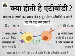 moderate meaning in hindi 1