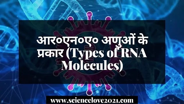 अणु के प्रकार (Types of Molecules)