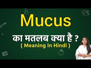 mucus meaning in hindi 1