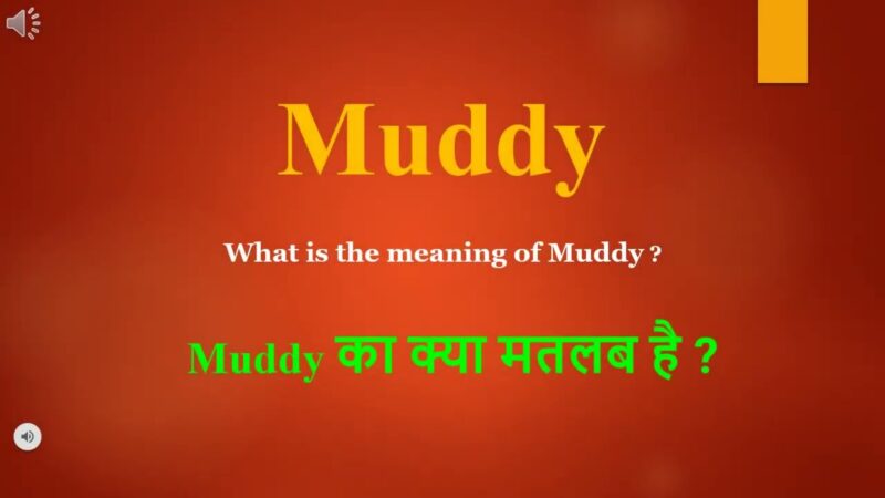 muddy meaning in hindi - Hình 3