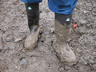 muddy meaning in hindi - Hình 4