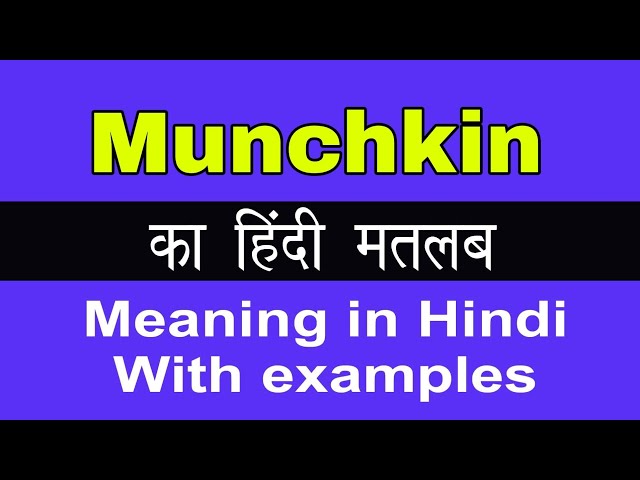 मंचकिन के विभिन्न हिंदी समानार्थी और संबंधित शब्द (Munchkin ke vibhinn Hindi Samanarthi aur Sambandhit shabd)