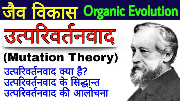 उत्परिवर्तन और विकास: विकासवादी प्रक्रिया में भूमिका (Utparivartan aur vikaas: Vikasvaadee prakriya mein b भूमिका)