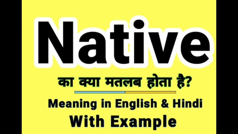 native meaning in hindi 2 1