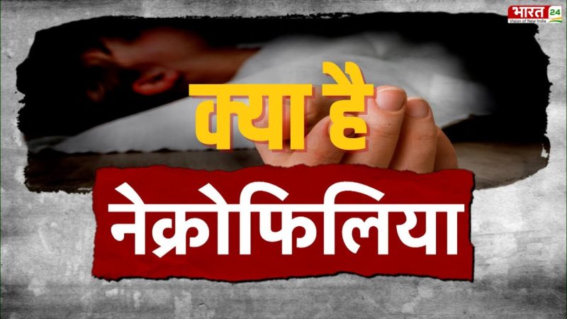 नेक्रोफिलिया का हिंदी में अर्थ: परिभाषा और मूल बातें