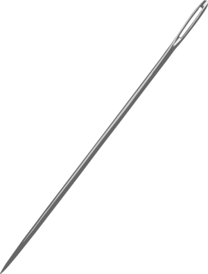 needle meaning in hindi 1