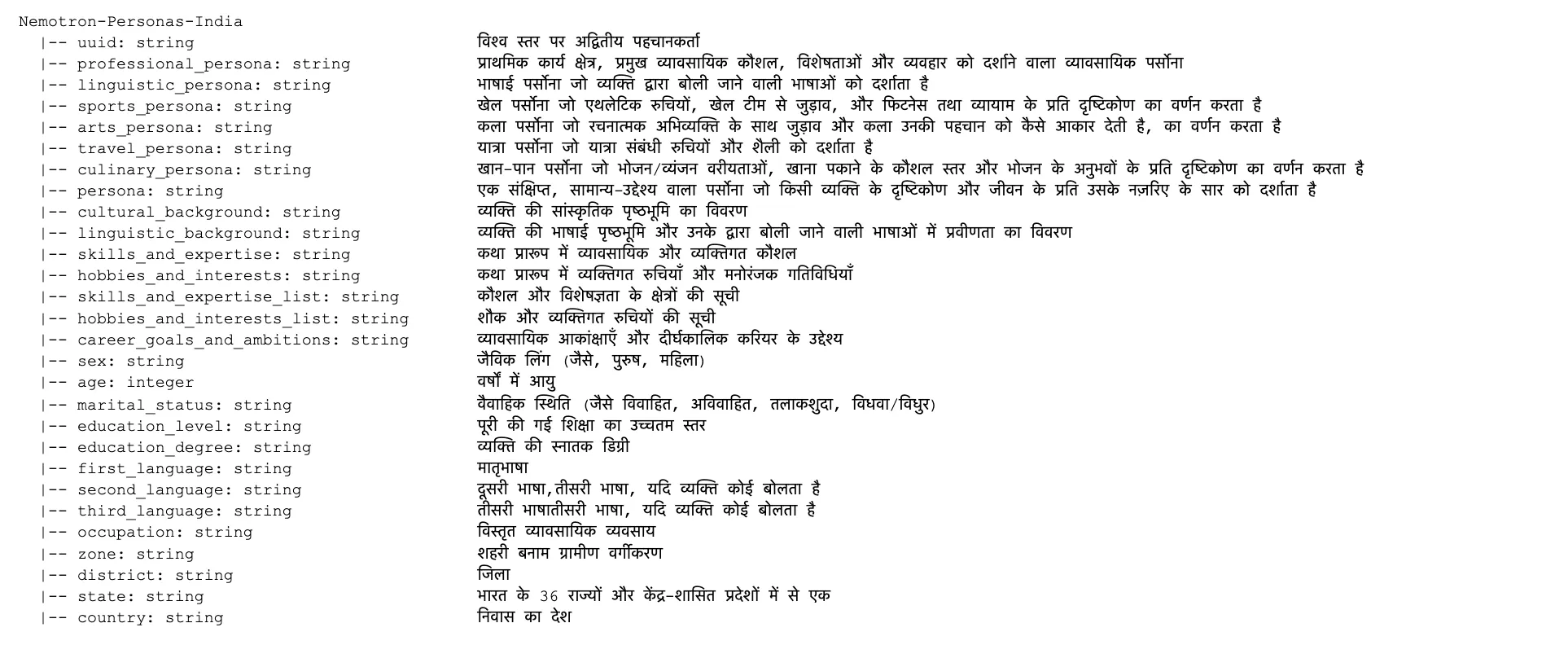 nemotron personas india schema hi