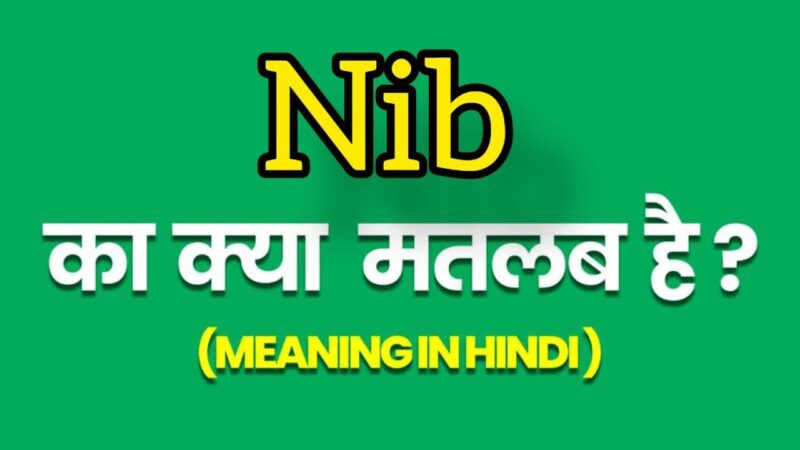 nib meaning in hindi - Hình 2
