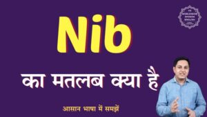 nib meaning in hindi