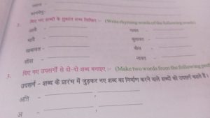 niece meaning in hindi 2