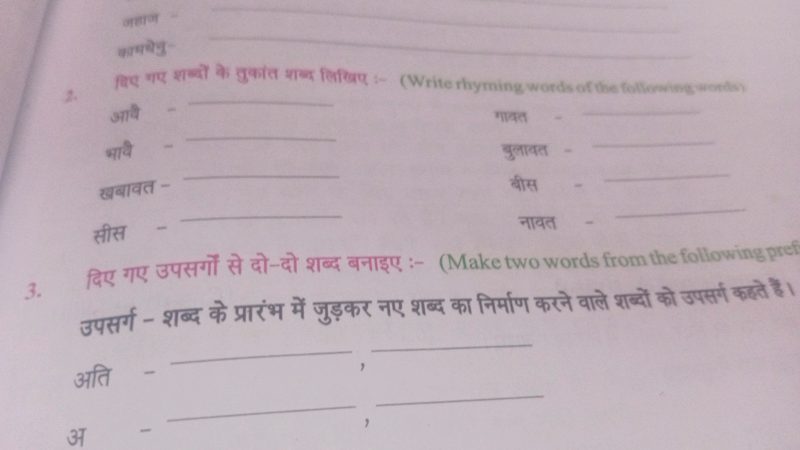 niece meaning in hindi 2