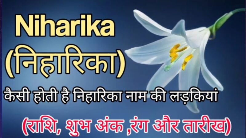 niharika meaning in hindi - Hình 4