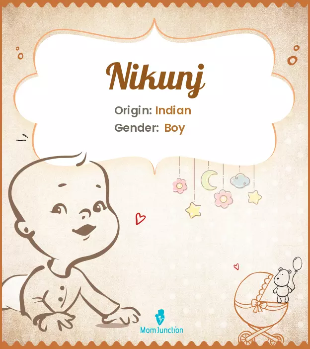 nikunj meaning in hindi - Hình 4