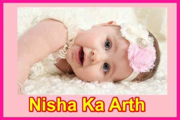 nisha meaning in hindi - Hình 5
