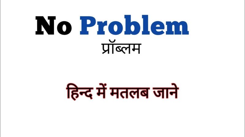 no problem meaning in hindi - Hình 2